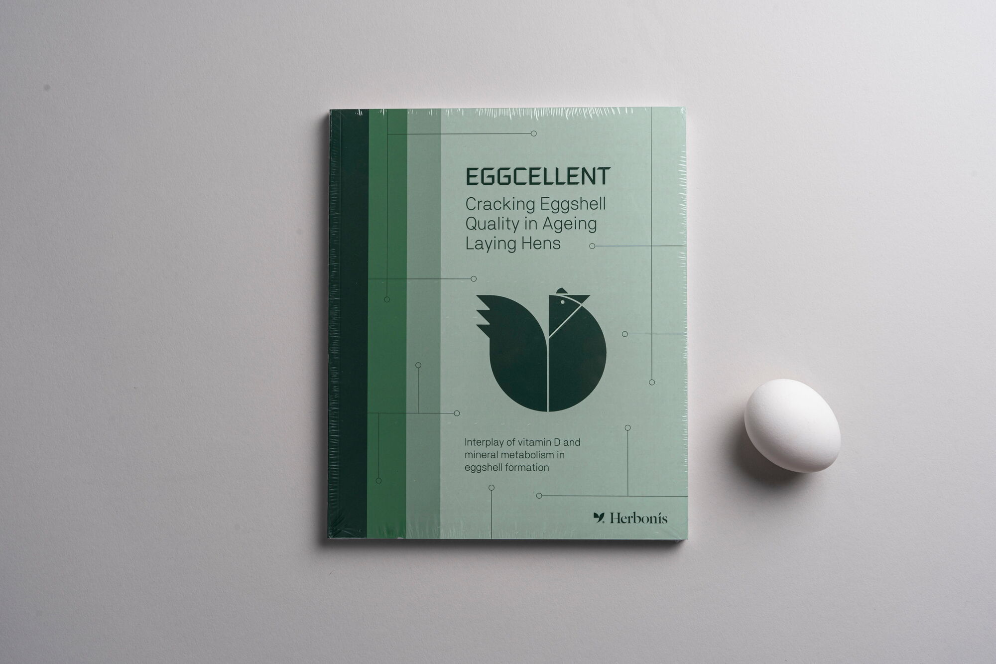 EGGCELLENT